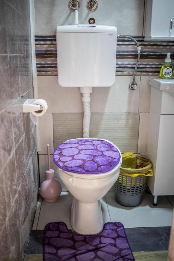 Appartement Prenociste Indija Hrvic Extérieur photo