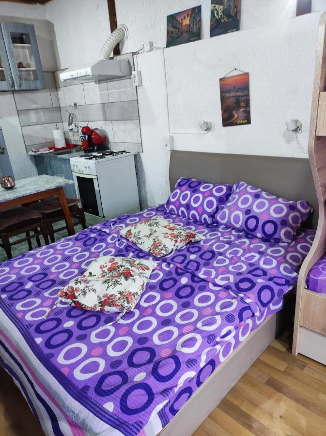 Appartement Prenociste Indija Hrvic Extérieur photo